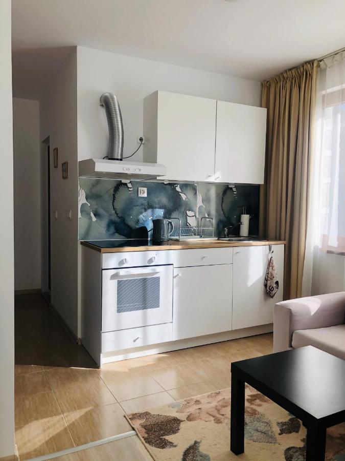 Temerso Studio-Apartment Bansko Exteriör bild